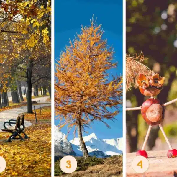 Test de personalidad: ¡revela tu carencia interior eligiendo entre estas 5 imágenes enigmáticas!